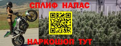 прущие крисы Бузулук