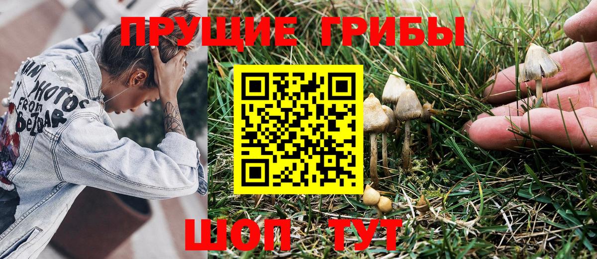 Псилоцибиновые грибы GOLDEN TEACHER  закладка  Фролово  Вход с VPN 