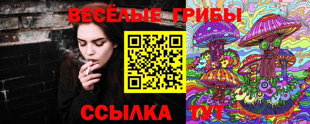 Галлюциногенные грибы прущие грибы Фролово